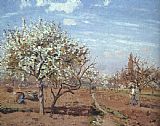 Camille Pissarro Orchard in Bloom at Louveciennes painting